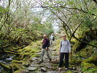 Galways Bridge-Torq Waterfall 5