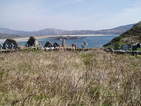 Derrynane - Het Kerkhof 4