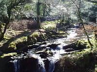 Rond Torq Waterfall 1