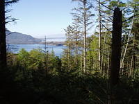 Rond Torq Waterfall 2