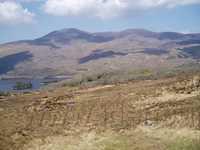 Ladies View 1