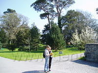 Muckross 1