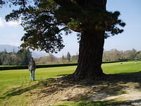 Muckross 3