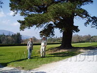 Muckross 4
