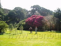Muckross 5