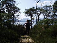 Muckross 7