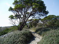 Muckross 8