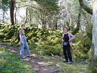 Muckross 9