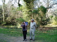Muckross 10