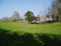 Muckross 12