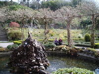 Bantry House 3