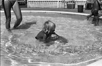 Kingston1972.015.jpg