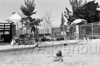 Kingston1972.016.jpg