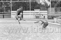 Kingston1972.017.jpg
