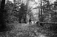 Kingston1972.033.jpg