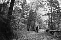 Kingston1972.034.jpg