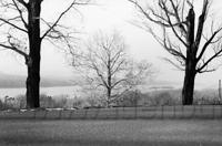 Kingston1972.052.jpg