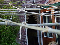 Moeke2005 008
Voor het geval 't zou gaan regenen.