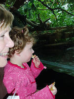 Pasen2006 013.jpg