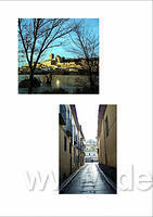 Zamora