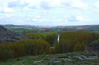 Spanje2004 069 - Berlanga, vallei met populieren.
