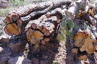 Spanje2004 078
Op weg naar Corduente