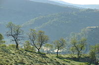 Spanje2004 104
Morella, uitzicht vanuit de kamer van de Bazens 's ochtends