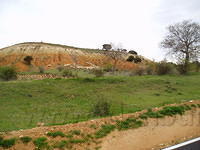 Spanje2004 008 - Op weg naar El Burgo, rode aarde en schapen 2.