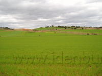 Spanje2004 009 - Op weg naar El Burgo, groen gras, rode aarde.