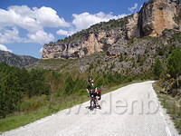 Spanje2004 038
Joke blijft naar gieren zoeken.