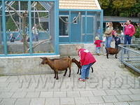 Sprookjewonderland 012.jpg