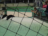Jesper heeft sjans