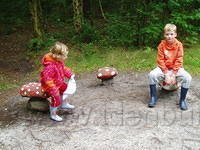 En op de paddestoel