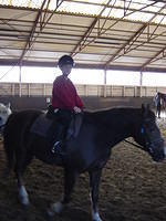 Hoe vind je me paard?