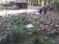 DpAmersfoort012.jpg