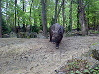 DpAmersfoort036.jpg