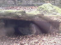 DpAmersfoort043.jpg