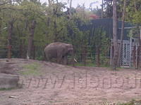 DpAmersfoort045.jpg