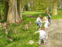 Kabouter bomen
