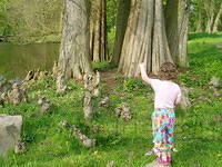 Kunnen ze ook zingen (net als de paddestoelen in de Efteling)