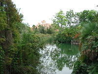 Florida_0013_10-25-2007.JPG