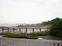 Florida_0044_10-27-2007.JPG