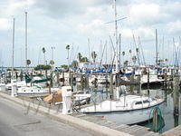 Florida_0067_10-28-2007.JPG