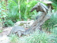 Florida_0094_10-29-2007.JPG