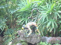 Florida_0095_10-30-2007.JPG