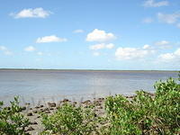 Florida_0100_10-30-2007.JPG