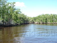 Florida_0105_10-30-2007.JPG