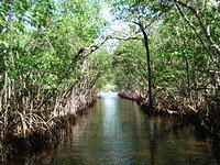 Florida_0114_10-30-2007.JPG