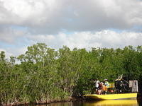 Florida_0119_10-30-2007.JPG