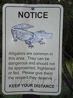Florida_0140_10-30-2007.JPG